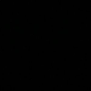 Meet your Posher, Griselda